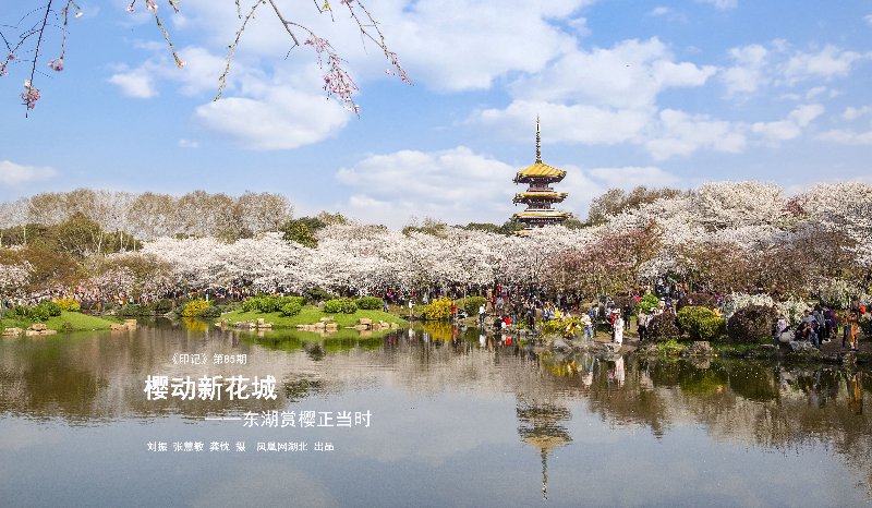武汉网:打通城市信息脉络,构建本地化数字生活新枢纽